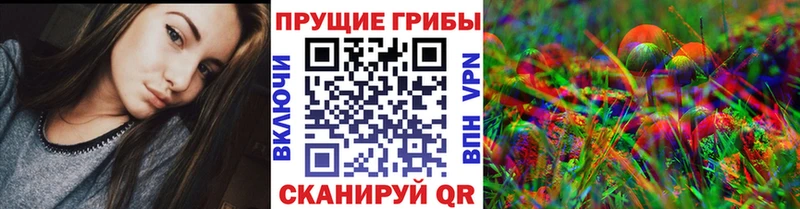 Галлюциногенные грибы Psilocybine cubensis  Горнозаводск 